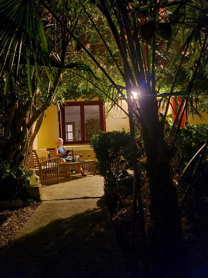 Number15 Guesthouse Carcassone Kültér fotó